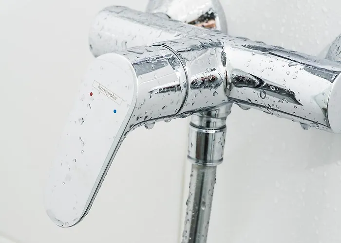 Roemerstube מלון 3*